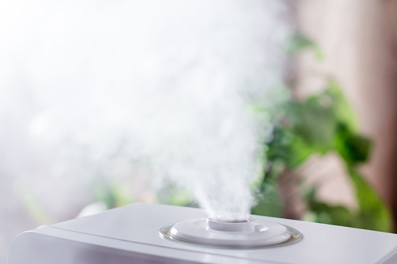 Steam Humidifier in the Living Room