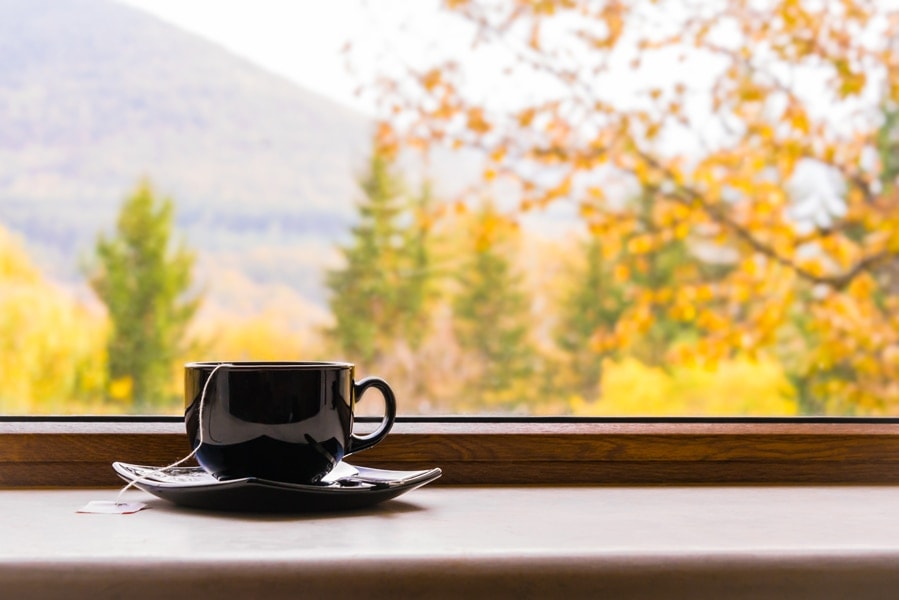 A cup of tea in front of a window with autumn view. Fall indoor air quality.