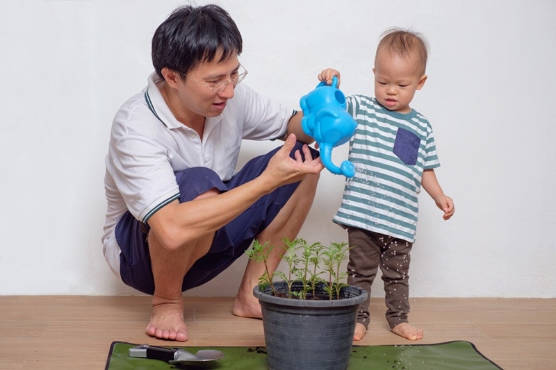 father and son watering plants